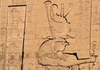 Hieroglyphs at Edfu Temple 5