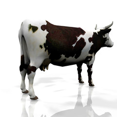 3d Cow