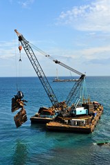 Fototapeta premium gru