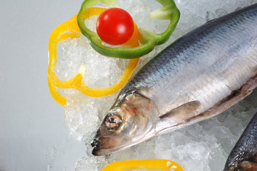 herring