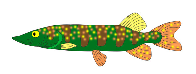 abstract colorful fish