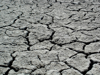 rechauffement climatique