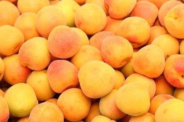 Apricot background
