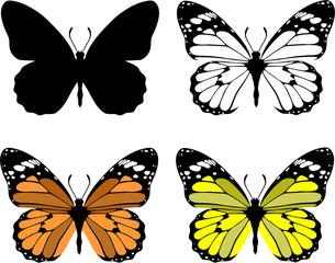 Obraz na płótnie Canvas Butterfly set 10