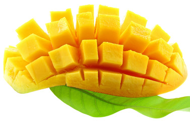 tranche mangue, Mangifera indica, fond blanc