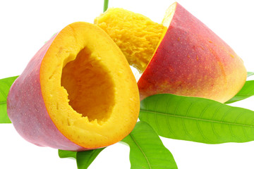 mangue fond blanc