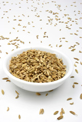 some organic caraway seed and a white background