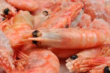 some fresh organic prawns from the freezer