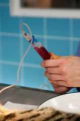 seringue de vétérinaire