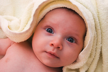 3 month baby