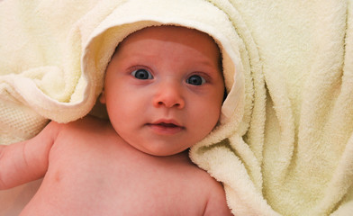 3 month baby