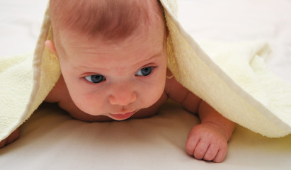 3 month baby