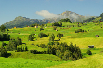 Obraz premium Fiss Alm - Fiss alp pasture 07