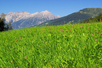 Venet  mountain Venet 08