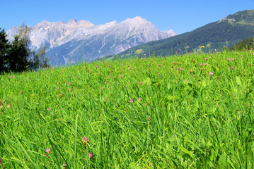 Venet  mountain Venet 09