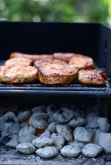 Barbecue. Meat and coals.