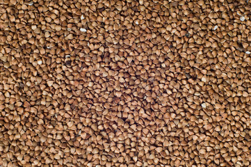 Buckwheat background
