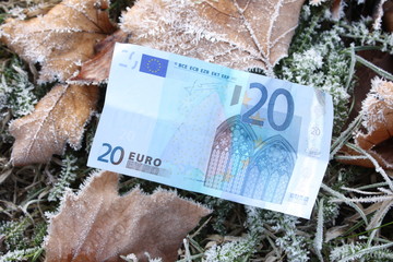 20 Euro banknote in frozen grass