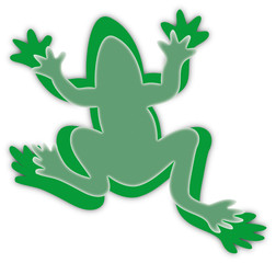 green frogs on white