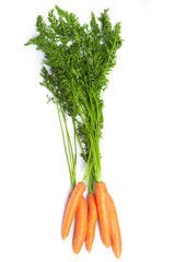 Fresh Vegetables carrots