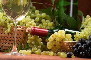 White dry wine, fresh clusters of a grapes