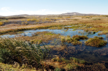 草原湿地