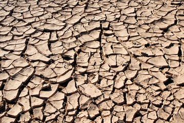 Trockenheit