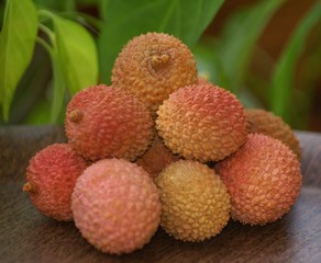 litchi