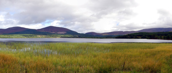 Loch Morlich, Cairngorms National Park, Scotland