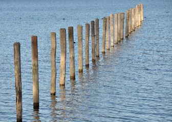 Pfähle im See