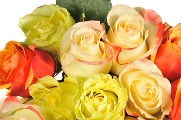 Rose background