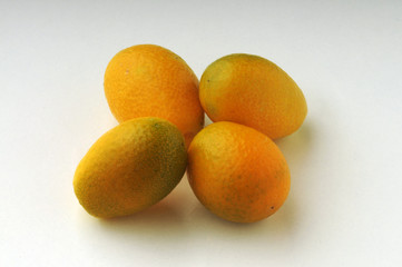 Fortunella o Kumquat