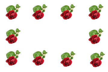 Red Rose Border
