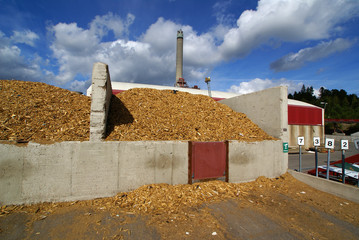 bio fuel power plant