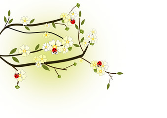 frühling illustration