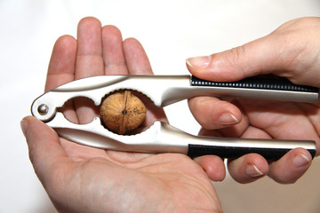 Nut Cracker Hand