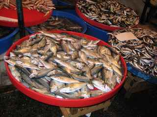 Venta de pescados en Estambul