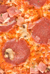 Pizza Pepperoni close-up