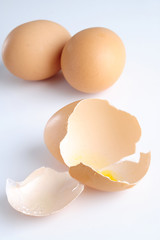 Eggshell