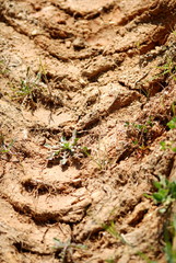 Trace of wheels on a ground