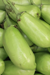 茄子近距离拍摄