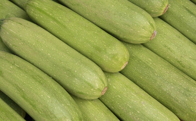 Green zucchini vegetable