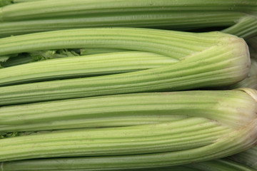 芹菜近距离拍摄