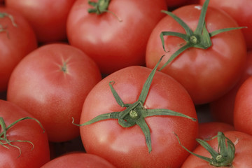 Tomatoes