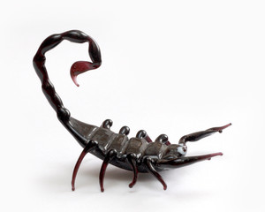 Scorpio