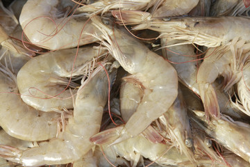 gamberetto close－up