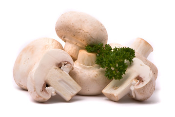 Fresh mushrooms isolated on a white background