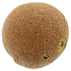 bille argile cuite fond blanc