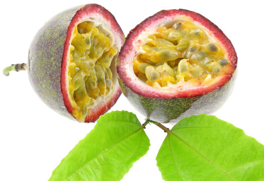 fruit de la passion, passiflore, fond blanc