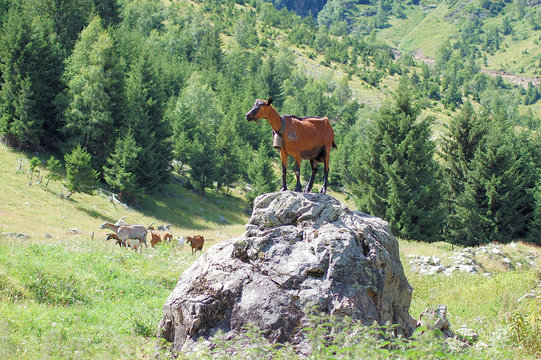 &agrave; chacun son everest